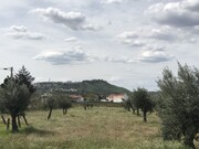Terreno Rstico - Pego, Abrantes, Santarm - Miniatura: 1/9