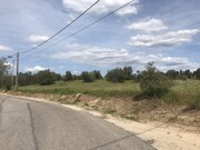 Terreno Rstico - Pego, Abrantes, Santarm - Miniatura: 4/9