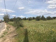 Terreno Rstico - Pego, Abrantes, Santarm - Miniatura: 6/9