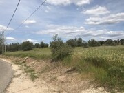 Terreno Rstico - Pego, Abrantes, Santarm - Miniatura: 7/9