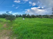 Terreno Rstico - Pego, Abrantes, Santarm - Miniatura: 8/9