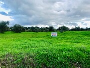 Terreno Rstico - Pego, Abrantes, Santarm - Miniatura: 9/9