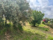 Terreno Urbano - Pego, Abrantes, Santarm - Miniatura: 1/9