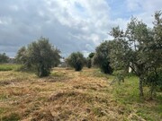 Terreno Urbano - Pego, Abrantes, Santarm - Miniatura: 2/9