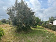 Terreno Urbano - Pego, Abrantes, Santarm - Miniatura: 4/9