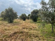 Terreno Urbano - Pego, Abrantes, Santarm - Miniatura: 5/9