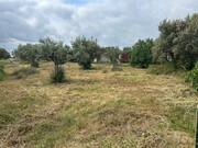 Terreno Urbano - Pego, Abrantes, Santarm - Miniatura: 8/9