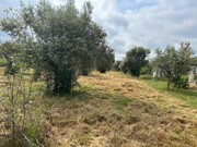 Terreno Urbano - Pego, Abrantes, Santarm - Miniatura: 9/9