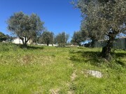Terreno Urbano - Abrantes, Abrantes, Santar�m - Miniatura: 7/9