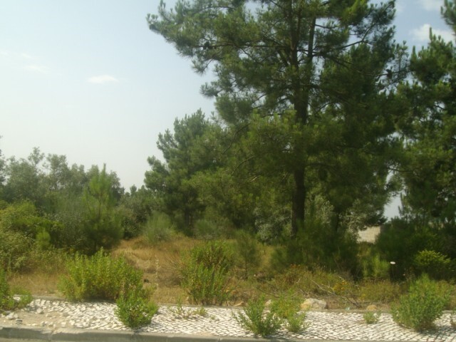 Terreno Urbano - Abrantes, Abrantes, Santar�m - Imagem grande