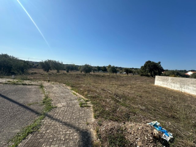 Outros - Abrantes, Abrantes, Santar�m - Imagem grande