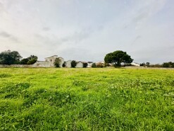 Quinta - S�o Miguel do Rio Torto, Abrantes, Santar�m