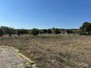 Outros - Abrantes, Abrantes, Santar�m - Miniatura: 2/6