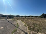 Outros - Abrantes, Abrantes, Santar�m - Miniatura: 3/6