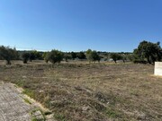 Outros - Abrantes, Abrantes, Santar�m - Miniatura: 4/6