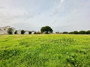 Quinta - S�o Miguel do Rio Torto, Abrantes, Santar�m - Miniatura: 1/9