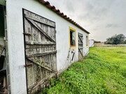 Quinta - S�o Miguel do Rio Torto, Abrantes, Santar�m - Miniatura: 2/9