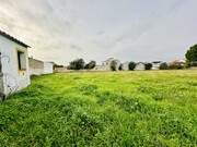 Quinta - S�o Miguel do Rio Torto, Abrantes, Santar�m - Miniatura: 4/9