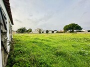 Quinta - S�o Miguel do Rio Torto, Abrantes, Santar�m - Miniatura: 5/9