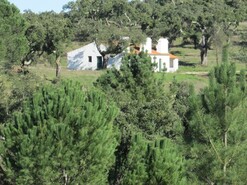 Terreno Rstico T5 - Mora, Mora, vora