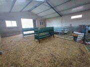 Ind�stria - Vila de Rei, Vila de Rei, Castelo Branco - Miniatura: 4/9