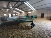 Ind�stria - Vila de Rei, Vila de Rei, Castelo Branco - Miniatura: 5/9