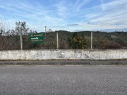 Terreno R�stico - Alvega, Abrantes, Santar�m - Miniatura: 1/9