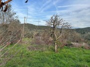 Terreno R�stico - Alvega, Abrantes, Santar�m - Miniatura: 3/9