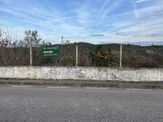 Terreno R�stico - Alvega, Abrantes, Santar�m - Miniatura: 7/9