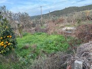 Terreno R�stico - Alvega, Abrantes, Santar�m - Miniatura: 8/9