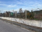 Terreno R�stico - Alvega, Abrantes, Santar�m - Miniatura: 9/9