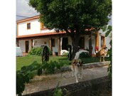 Moradia T3 - Abrantes, Abrantes, Santarm - Miniatura: 3/9