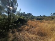 Terreno Rstico - Alcaravela, Sardoal, Santarm - Miniatura: 3/5