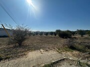 Outros - Abrantes, Abrantes, Santar�m - Miniatura: 3/5