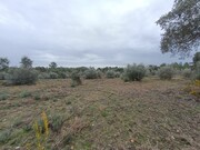 Terreno R�stico - Bemposta, Abrantes, Santar�m - Miniatura: 5/9