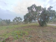 Terreno R�stico - Bemposta, Abrantes, Santar�m - Miniatura: 6/9