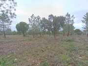 Terreno R�stico - Bemposta, Abrantes, Santar�m - Miniatura: 8/9