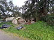 Terreno R�stico - Bemposta, Abrantes, Santar�m - Miniatura: 9/9