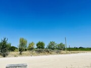 Outros - Coruche, Coruche, Santar�m - Miniatura: 7/9