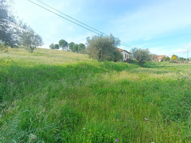 Quinta - Mouriscas, Abrantes, Santarm - Imagem grande