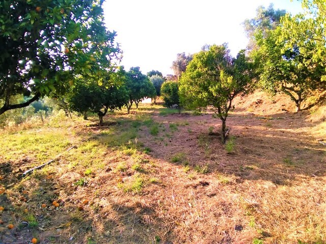 Terreno Urbano - Sardoal, Sardoal, Santarém - Imagem grande
