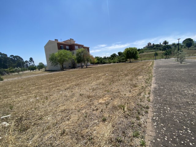 Outros - Santarem, Santarém, Santarém - Imagem grande