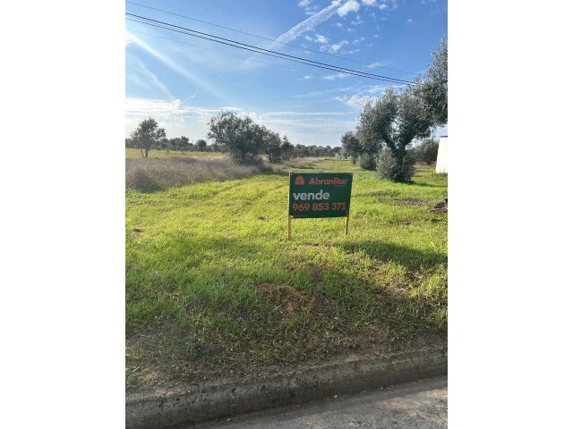Outros - Pego, Abrantes, Santar�m - Imagem grande