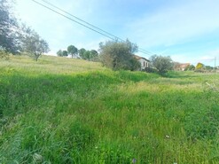 Quinta - Mouriscas, Abrantes, Santarm