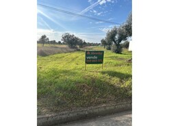 Outros - Pego, Abrantes, Santar�m