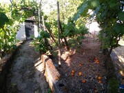 Terreno Urbano - Sardoal, Sardoal, Santarm - Miniatura: 3/4