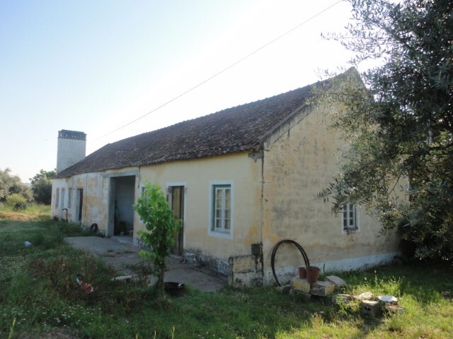 Quinta T3 - Pego, Abrantes, Santarém - Imagem grande