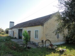 Quinta T3 - Pego, Abrantes, Santarm