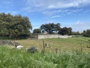 Quinta T5 - So Bento do Cortio, Estremoz, vora - Miniatura: 4/9