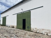 Quinta T5 - So Bento do Cortio, Estremoz, vora - Miniatura: 6/9